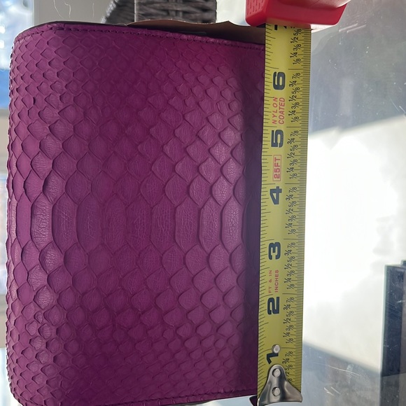 New Rare find- Celine Python Crossbody Bag - Picture 2 of 4